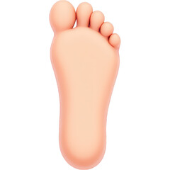 A 3D rendered image of a prosthetic human foot, shown in a smooth, skin-tone finish. The model displays detailed toes and the arch, emphasizing the realistic shape of the foot.