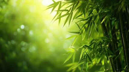 Fototapeta premium A verdant tapestry woven from slender bamboo stalks, their delicate leaves whispering secrets in the gentle breeze.