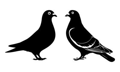 Obraz premium Pigeon Logo, black isolated silhouette set