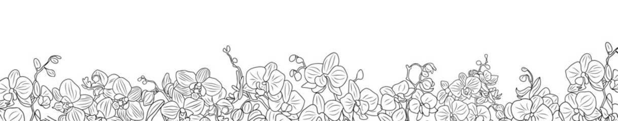 Horizontal banner, floral border, frame, overlay, backdrop decorated with gorgeous orchid blooming flowers. Botanical monochrome ink sketch style illustration isolated  © Creative_Juice_Art
