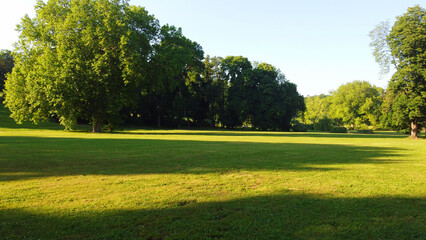 Fototapeta premium Green Park with Lush Meadows, Trees, and Blue Skies for Relaxation and Picnic. Towering trees, and open fields. Fresh air, a serene view, and a perfect picnic spot. Grassy field, sunlight. Blue sky.