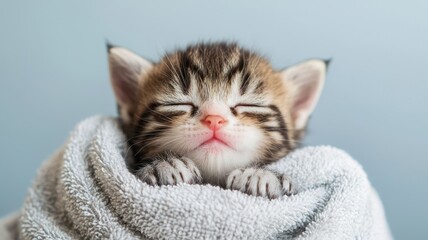 Naklejka premium Newborn kitten with tiny and gentle idea. Cute kitten wrapped in a towel, peacefully sleeping.