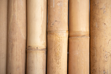 Bali natural elements experience