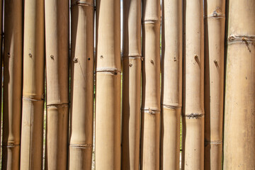 Naklejka premium Bali natural elements experience