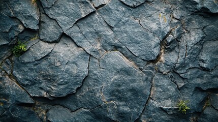 A surface etched with the stories of countless ages, where the cool gray stone whispers tales of ancient forests and weathered mountains.