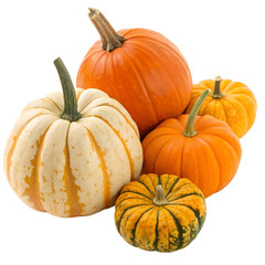 Variety of Fresh Pumpkins Isolated on White Background