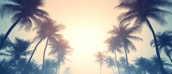 Tropical sunset, palm trees, beach