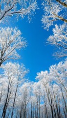 Fototapeta premium Winter Wonderland Snow Covered Trees Create a Circular Frame, Upward View, Blue Sky