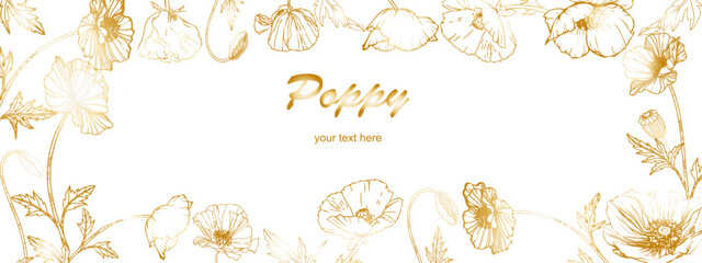 golden poppy frame with outlines on a transparent background.Close-up, isolated, long