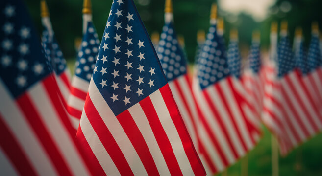 American Flags Display in Row, Patriotic Memorial Day Decoration, National Pride and Military Honor Tribute, Freedom and Democracy Symbolism