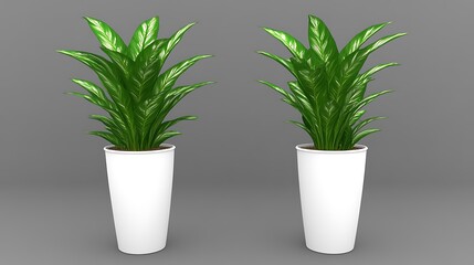 Obraz premium Two Potted Plants in White Pots on Gray Background