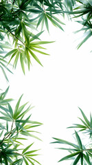 Fototapeta premium Lush green leaves frame, nature background, design