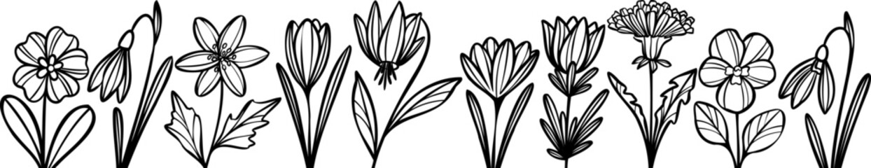 Line art vector spring flower illustration banner, simple floral doodle footer design, small wild plants hand drawn decorative border design