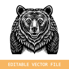 Bear head sketch hand drawn vector, engraving style. Wild animals Vector illustration
