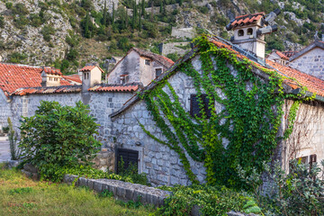 Fototapeta premium Kotor, Montenegro old town houses