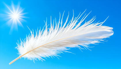 White feather floats sunny blue sky