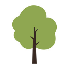 colored tree icon