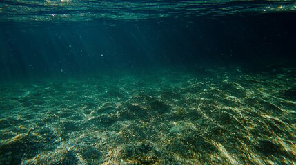 Fototapeta premium Underwater Scene With Sunlight Rays and Green Sea Floor
