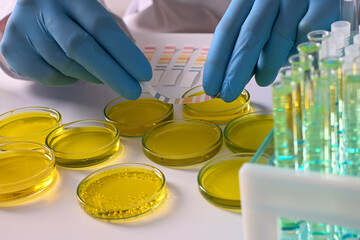 Scientist wearing blue gloves comparing a ph indicator color chart with a liquid sample in a petri...