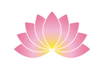 Lotus flower on white background