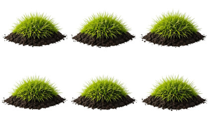 Vibrant Green Grass on Earthy Mound isolated on png