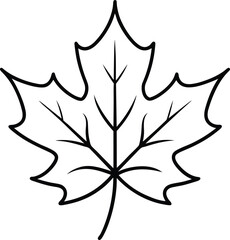 Hand-Drawn Maple Leaf Outline - Minimalist Vector Illustration