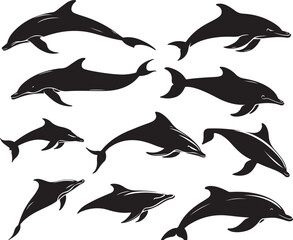 Graceful Aquatics: The Elegant Dance of Dolphins
