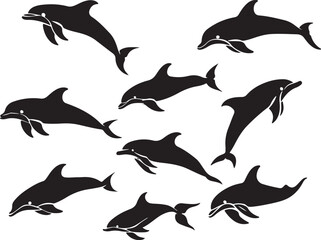 Obraz premium Graceful Aquatics: The Elegant Dance of Dolphins 