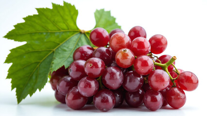 Fototapeta premium Red grapes isolated on white background, copy space
