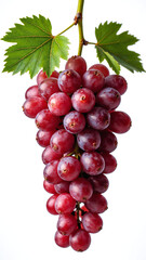 Fototapeta premium Red grapes isolated on white background, copy space