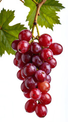 Fototapeta premium Red grapes isolated on white background, copy space