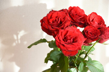 赤い薔薇