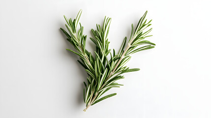 Fototapeta premium Fine dried rosemary powder in a thin, even layer on a smooth white background, with emphasis on its fresh, greenish tone.