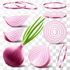 Whole, half and slices of fresh onion. Set of ripe red onion with green feather isolated on transparent background. Healthy food. Natural vegetable. Realistic 3d vector illustration