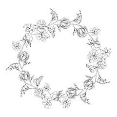 Cloudberry raspberry on stems with plant leaves hand drawn vector ink, line ripe forest berry. Isolated botanical illustration wreath round frame. Restaurant, cafe menu, farmers market, recipe book