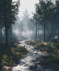 Obraz premium Misty forest path winding through fog-covered nature landscape
