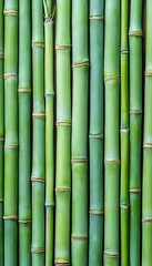Green Bamboo Stalks Background, Natural Texture Pattern Design, Eco-Friendly Material