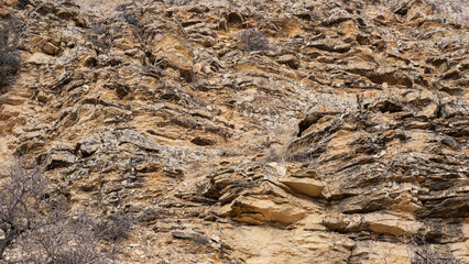 rock texture with close up shoot