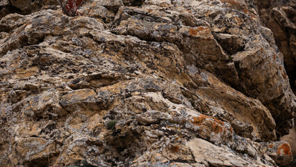 rock texture with close up shoot