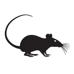 Rat vector Design
