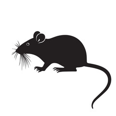 Rat vector Design