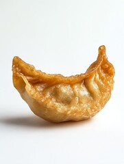 Deliciosa empanadilla dorada, crujiente y con un atractivo aspecto que invita a probarla.