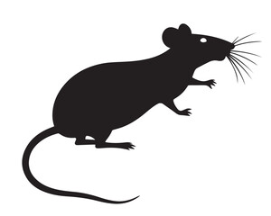 Rat vector Design
