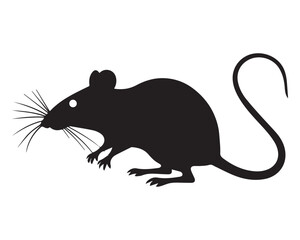 Rat vector Design