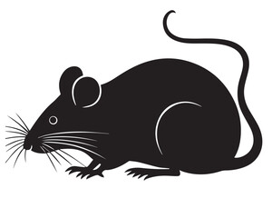 Rat vector Design