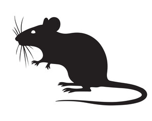Rat vector Design