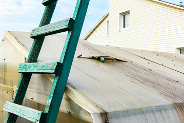 Greenhouse repair. Removal old polycarbonate using knife.
