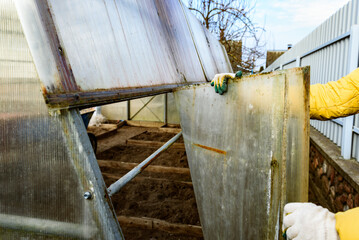 Greenhouse repair. Removal old polycarbonate using knife.