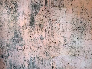 Fungal mold on old grunge wall surface. 