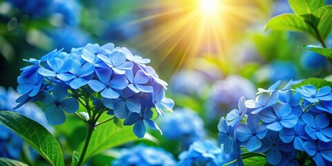 Vibrant blue flowers in full bloom against a bright green leafy background with sunlight filtering through the leaves, garden, vibrant colors